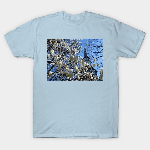Beautiful Spring Day T-Shirt by vadim19